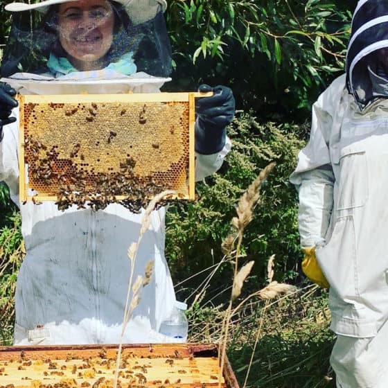 Beekeepers examining honeycomb outdoors.