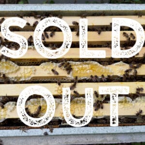 Beehive frames with bees and sold out text